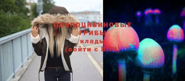 гидропоника Верея