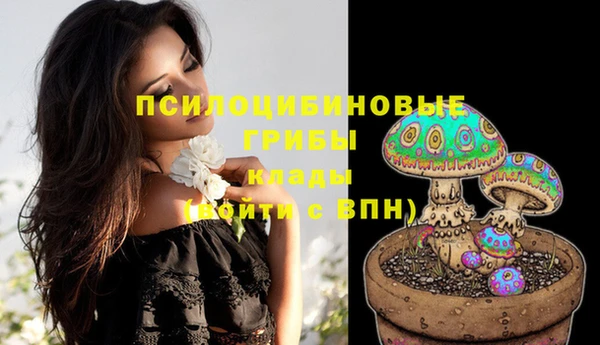 ешки Верхний Тагил