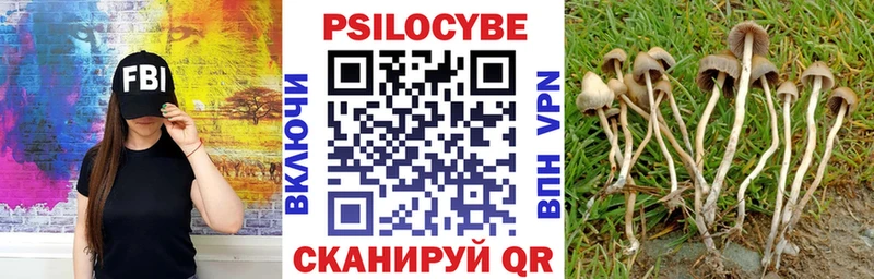 Галлюциногенные грибы MAGIC MUSHROOMS Кохма