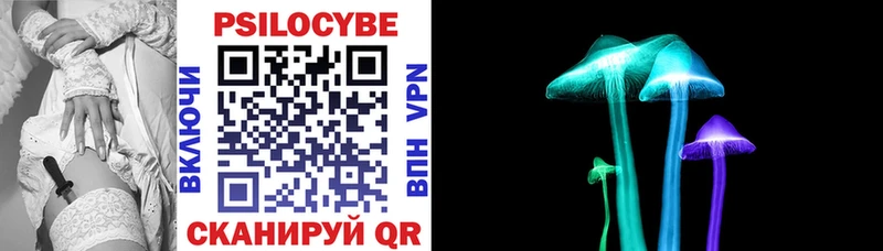 Купить где  Кохма  Галлюциногенные грибы прущие грибы 